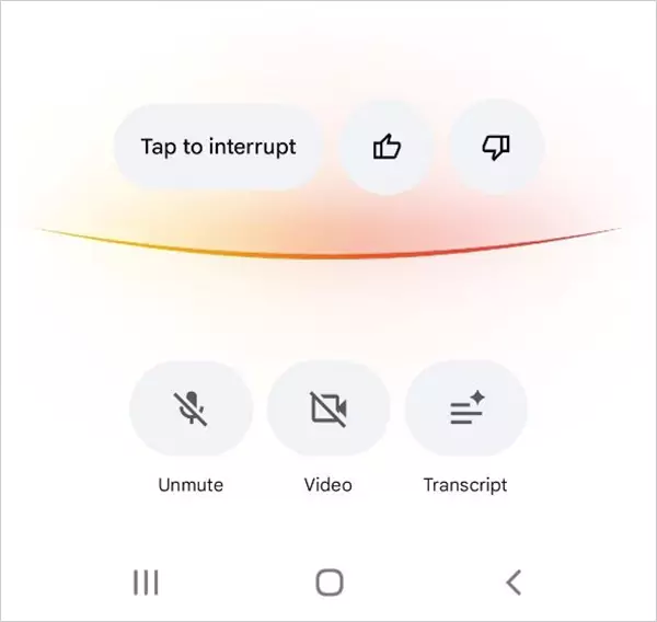 Google SEARCH LIVE Conversation