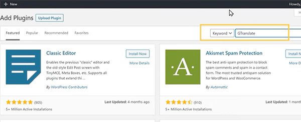 WordPress Plugins