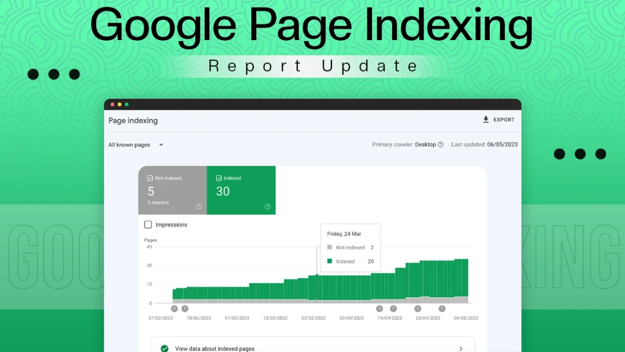 Google Page Indexing Report