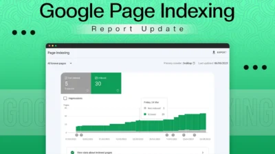 Google Page Indexing Report