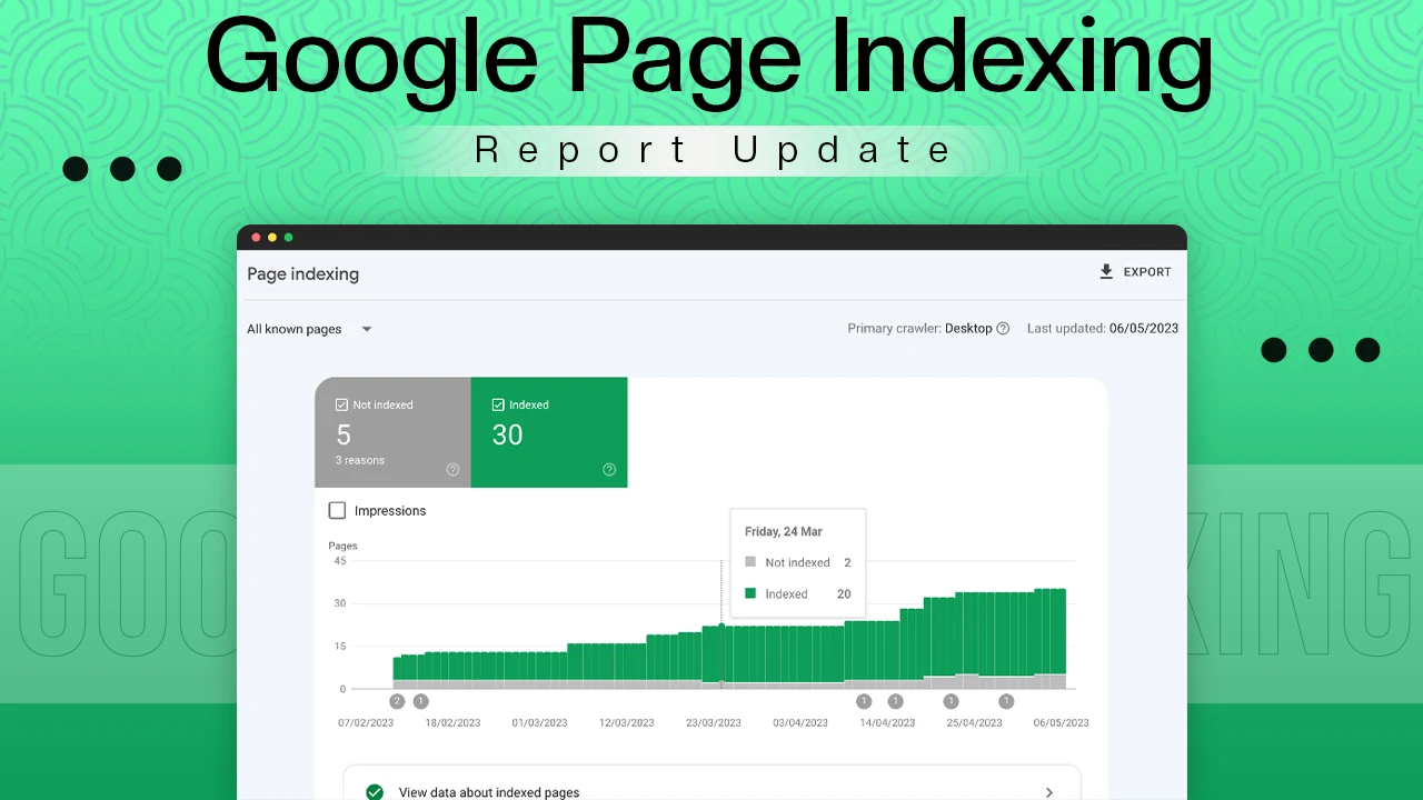 Google Page Indexing Report