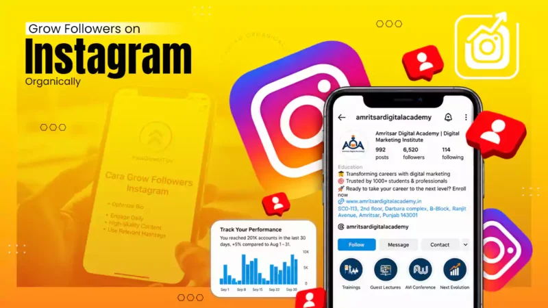 Grow Followers on Instagram Organically