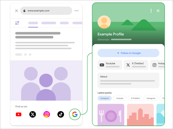 How Search Profiles Work