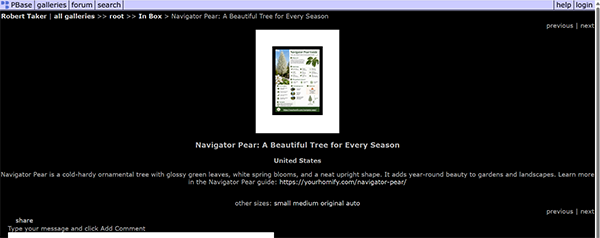 Image Backlinks