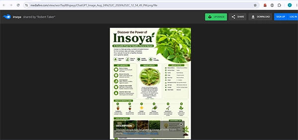 Image Submission Backlinks