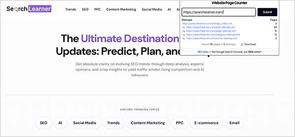 web page counter