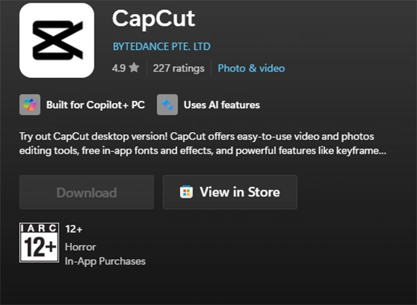 CapCut software and mobile application